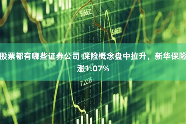 股票都有哪些证券公司 保险概念盘中拉升，新华保险涨1.07%