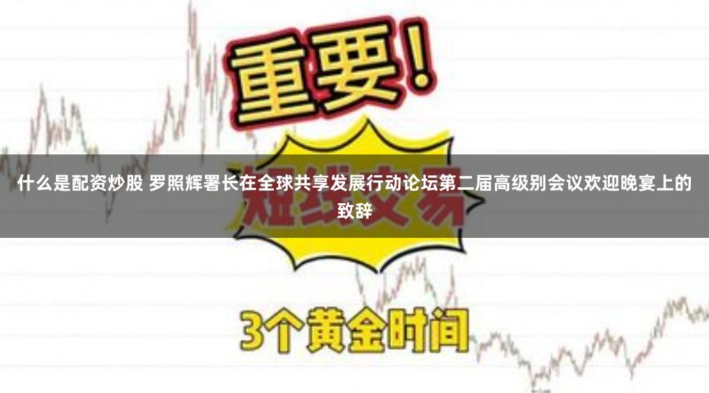 什么是配资炒股 罗照辉署长在全球共享发展行动论坛第二届高级别会议欢迎晚宴上的致辞