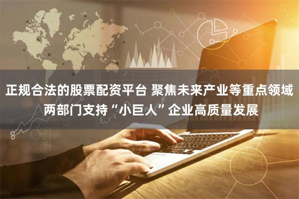 正规合法的股票配资平台 聚焦未来产业等重点领域 两部门支持“小巨人”企业高质量发展