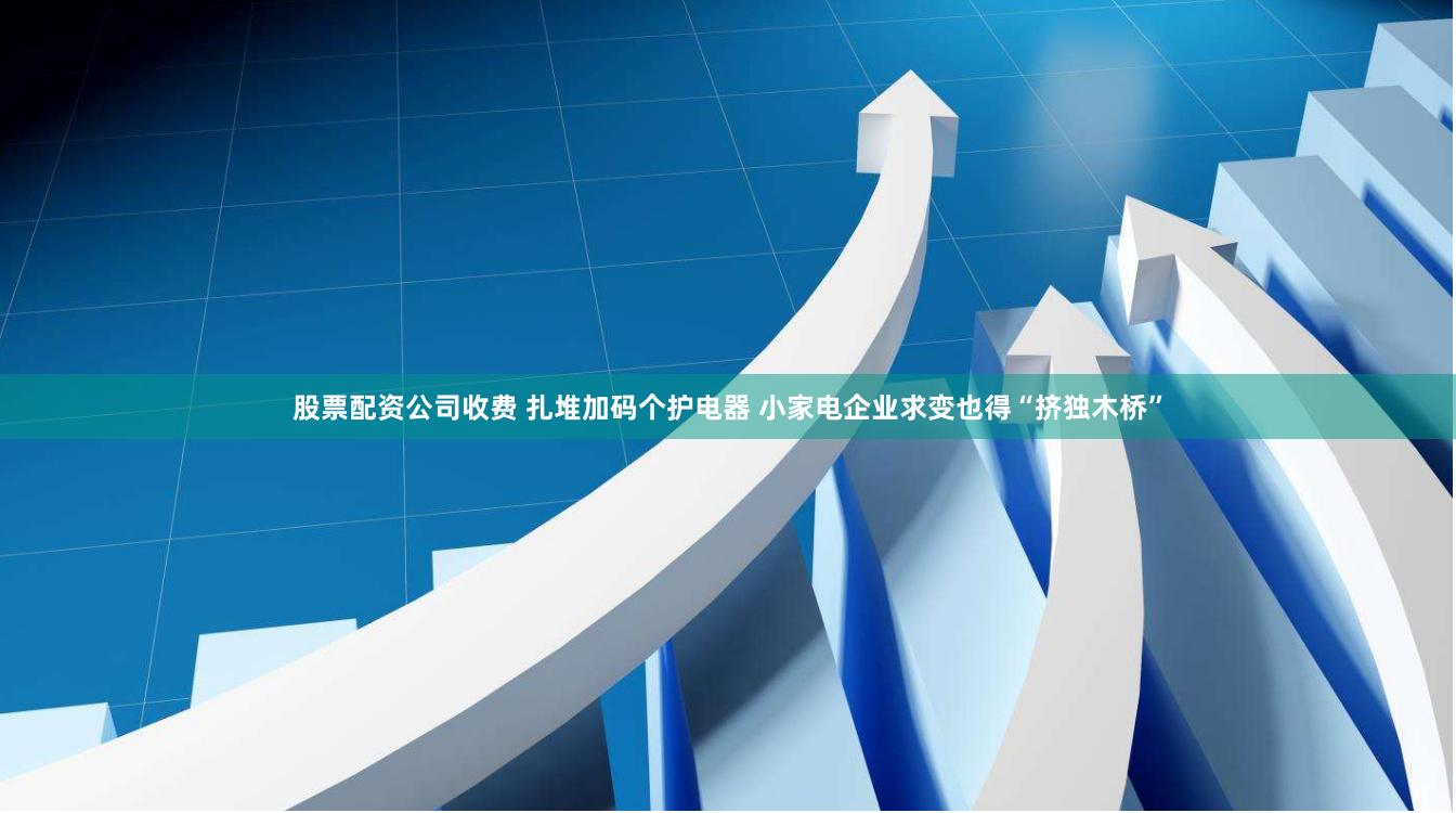 股票配资公司收费 扎堆加码个护电器 小家电企业求变也得“挤独木桥”