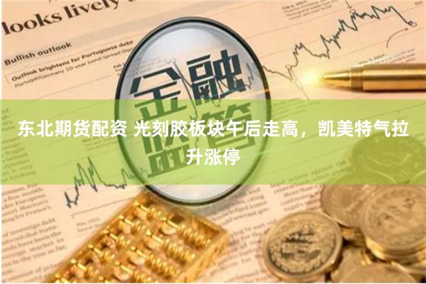 东北期货配资 光刻胶板块午后走高，凯美特气拉升涨停