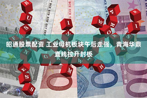昭通股票配资 工业母机板块午后走强，青海华鼎直线拉升封板
