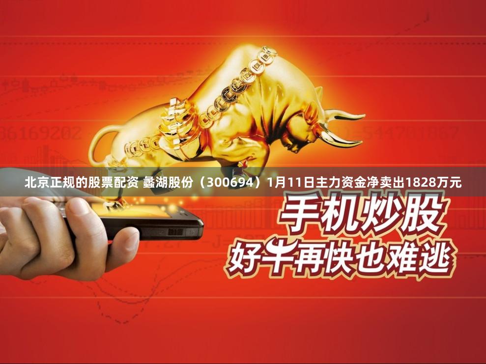北京正规的股票配资 蠡湖股份（300694）1月11日主力资金净卖出1828万元