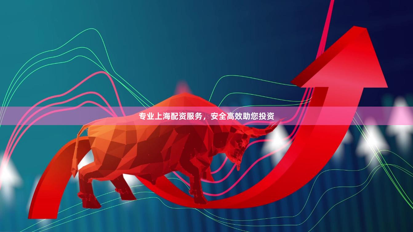 专业上海配资服务，安全高效助您投资