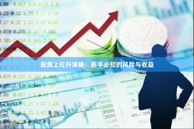 股票上杠杆策略:新手必知的风险与收益